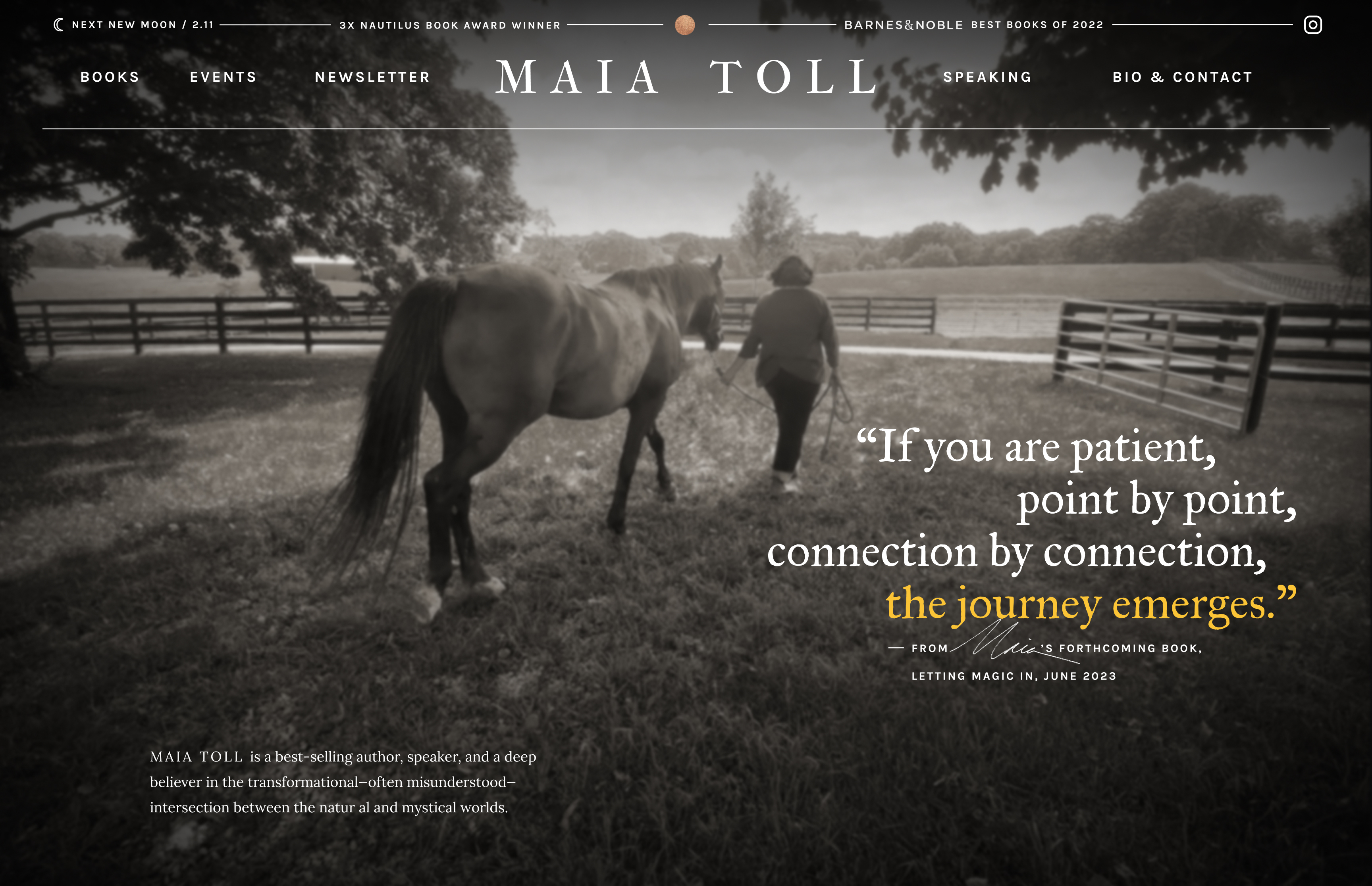 Maia Toll brand photo 2