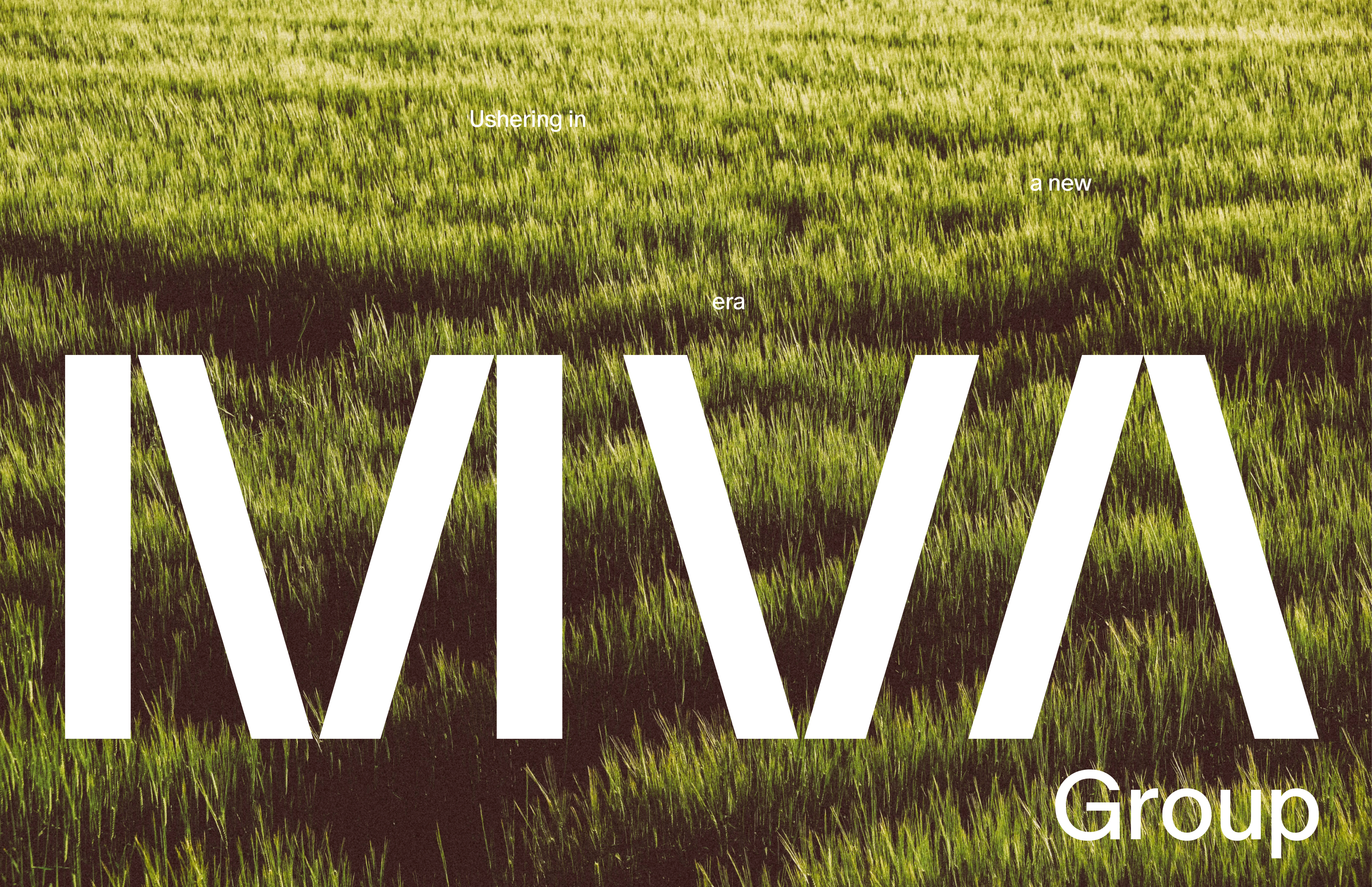 MVA Group brand photo 1